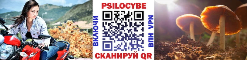 Псилоцибиновые грибы Cubensis  Белоозёрский 
